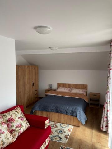 Casa Bunicilor Hotell Nucsoara  Eksteriør bilde